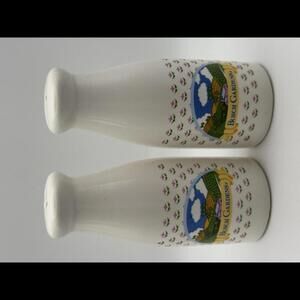 Vintage Busch Gardens Salt and Pepper Shakers - Charming Collectible Set